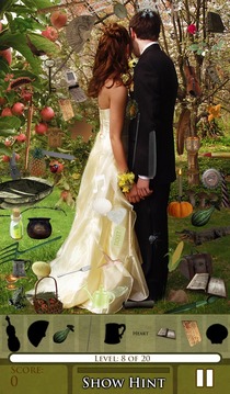 Hidden Object: Be My Valentine游戏截图2