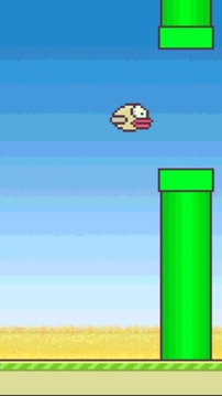 Birdy Flapper游戏截图1