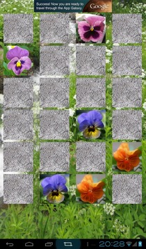 Pansies: Memory game(free)游戏截图2