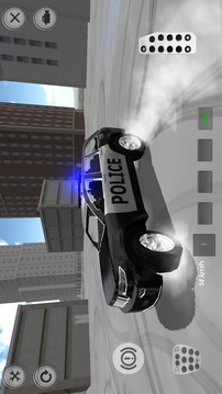 4WD SUV Police Car Driving游戏截图2