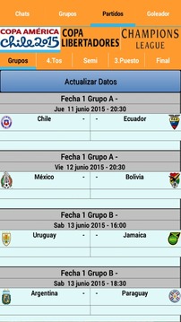 Copa Sudamericana 2014游戏截图4