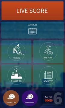 Cricket Zone游戏截图1