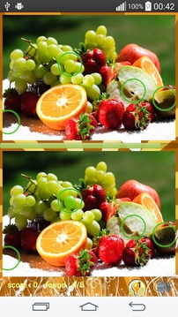 Photo hunt fruits game游戏截图2