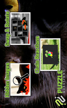 Free Black Cat Puzzles游戏截图3