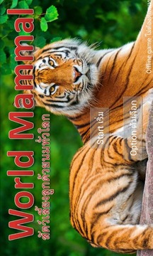 World Mammal - Animal Quiz游戏截图1