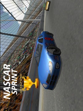 Nascar Sprint Gold Cup 3D游戏截图2