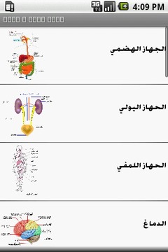 Arabic anatomy puzzles游戏截图1