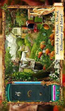 Hidden Object World of Wonders游戏截图2