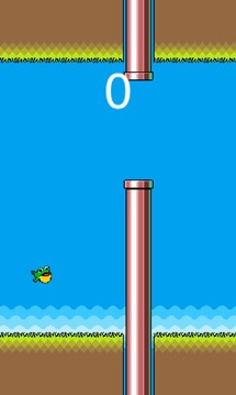 Flappy Froggy游戏截图3