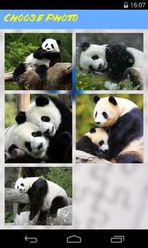 Panda Jigsaw Puzzle游戏截图3