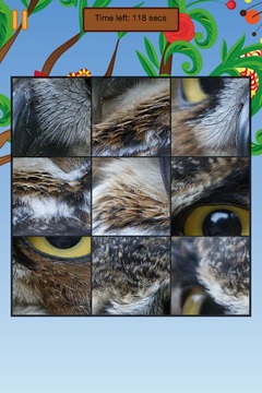 Birds World Puzzle游戏截图2