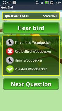 Quiz Bird Free游戏截图3