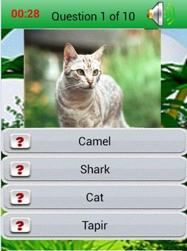 Kids Learning : Wild Animals游戏截图1