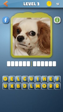 DogdomDogs guess the dog FREE游戏截图3