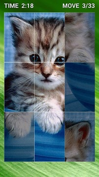 Cute Cat Swap Puzzle for Kids游戏截图3