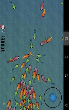 Fish Chase!游戏截图5