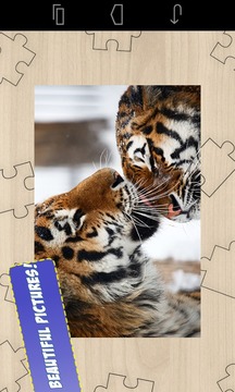 Free Big Cats Jigsaw Puzzle游戏截图2
