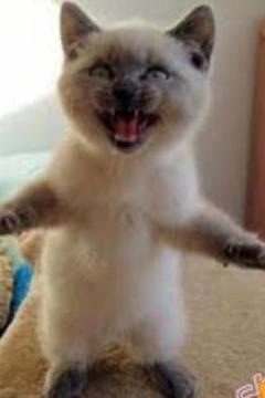 Scary Halloween游戏截图2