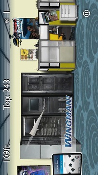 Hammermill Plane Fun游戏截图1