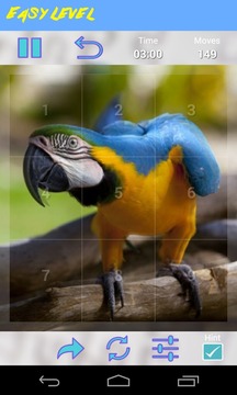 Parrot Jigsaw Puzzle游戏截图5