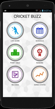 Cricket Buzz游戏截图1