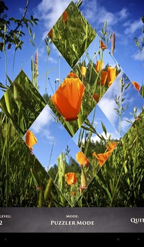 PuzzleSwap - Flower Flippin游戏截图2