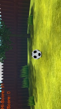 Soccer Juggler 3D游戏截图4