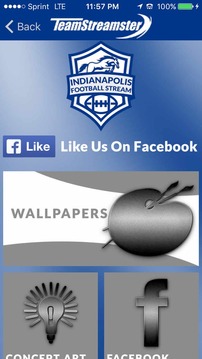 Indianapolis Football STREAM游戏截图4