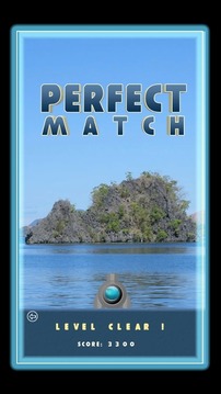 Perfect Match游戏截图5