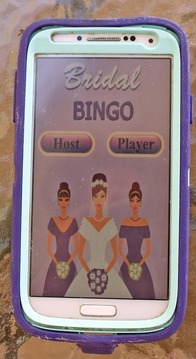 Bridal Bingo游戏截图2