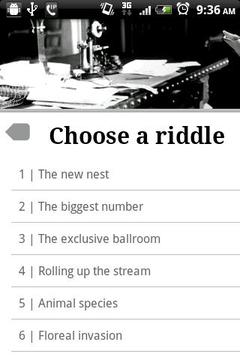 Elegant Riddles -Free & Full游戏截图3