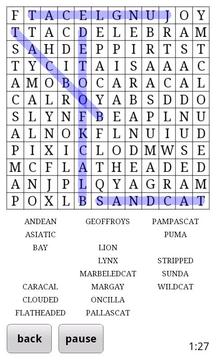 Word Search Deluxe Lite游戏截图2