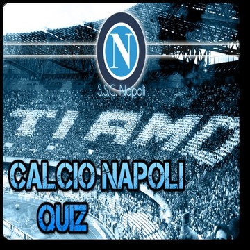 Calcio Napoli Quiz游戏截图4