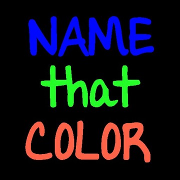 Name That Color!游戏截图3