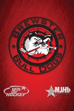 Brewster Bulldogs Hockey游戏截图1