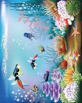 Hidden Object Underwater World游戏截图2