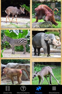 Zoo Animals Story游戏截图3