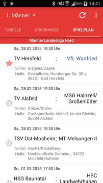 VfL Wanfried Handball游戏截图3