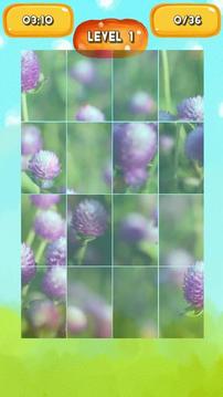 Globe amaranth Jigsaw Puzzles游戏截图3