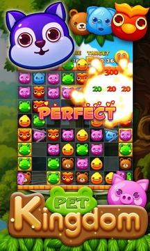 Pet Kingdom游戏截图4