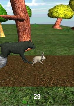 Run Rabbit Run游戏截图1
