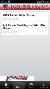 Hollydell Havoc游戏截图2