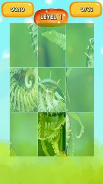 Fern Jigsaw Puzzle游戏截图3