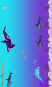 Dolphin Splash FREE游戏截图2