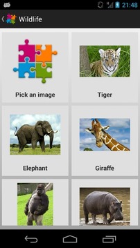 Kid Photo Puzzle游戏截图3