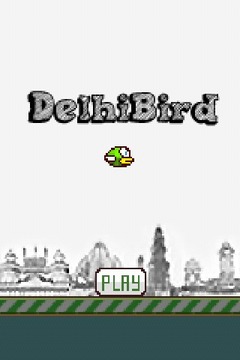 Delhi Bird游戏截图1