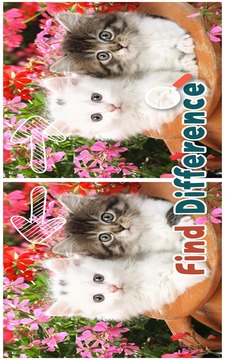 Find 5 Difference : Cats游戏截图3