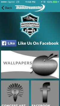 Jacksonville Football STREAM游戏截图5