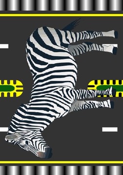 zebra_crossing游戏截图2