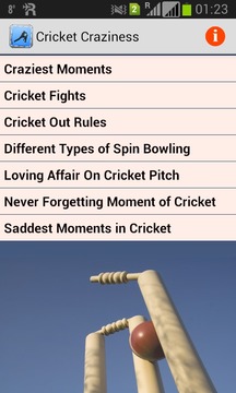 Cricket Craziness游戏截图1